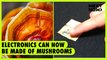 Electronics can now be made of mushrooms | Next Now
