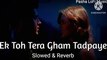 Ek Toh Tera Gham Tadpaye ( Slowed & Reverb ) Song || Pasha LoFi