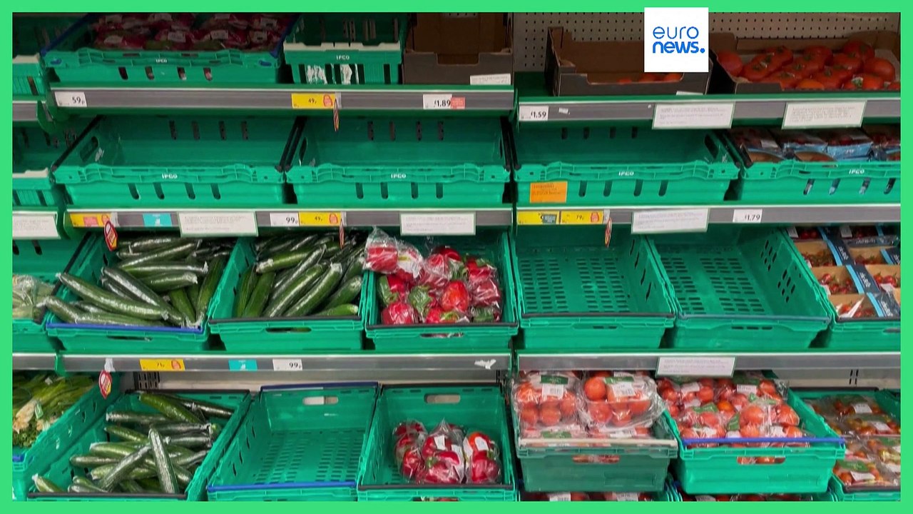 Bückware Tomaten: Warum der Engpass dauern könnte