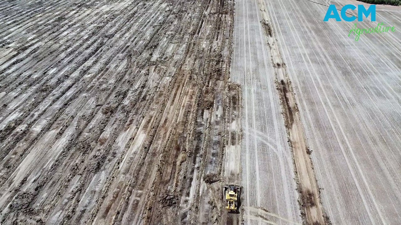 Condamine farmer's 13-year, 3000ha levelling program shows results
