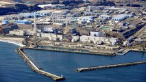 [더뉴스] 일본 후쿠시마 오염수 이르면 올 봄 방류 ...정부 