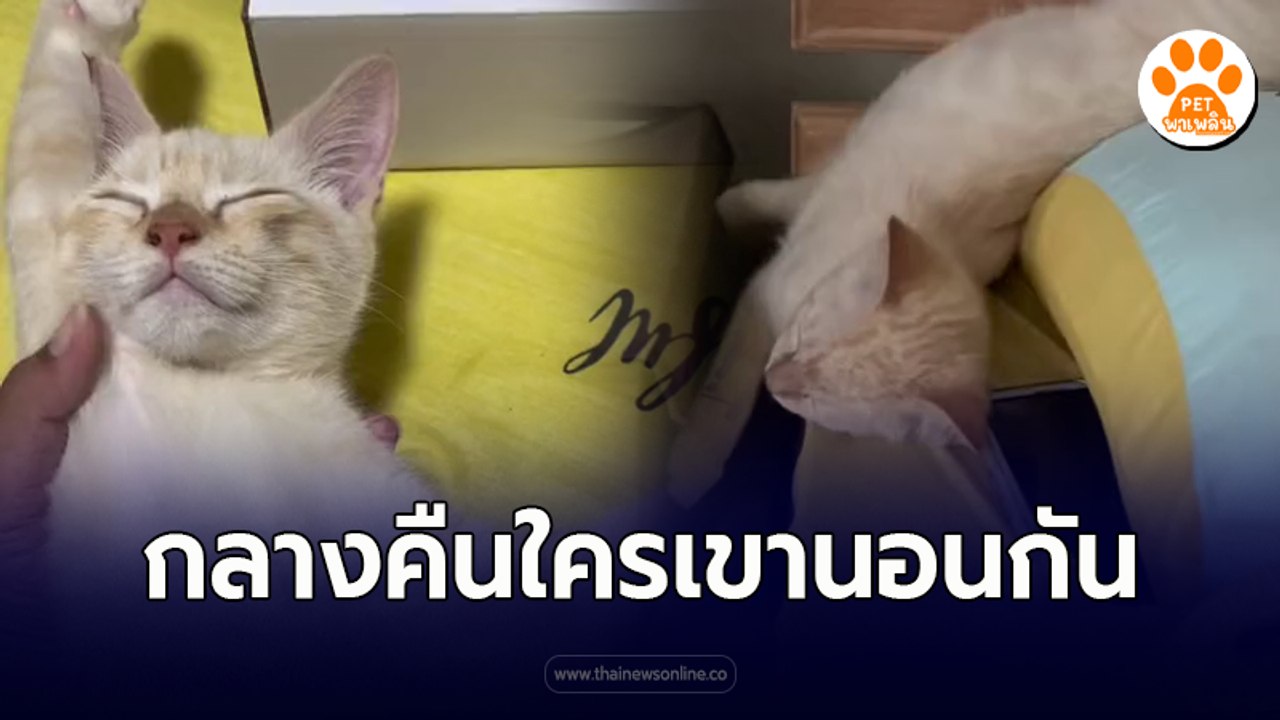 ตี 2 ตี 3 นุดง่วงนุดก็นอนไป มันคือเวลาของเรา