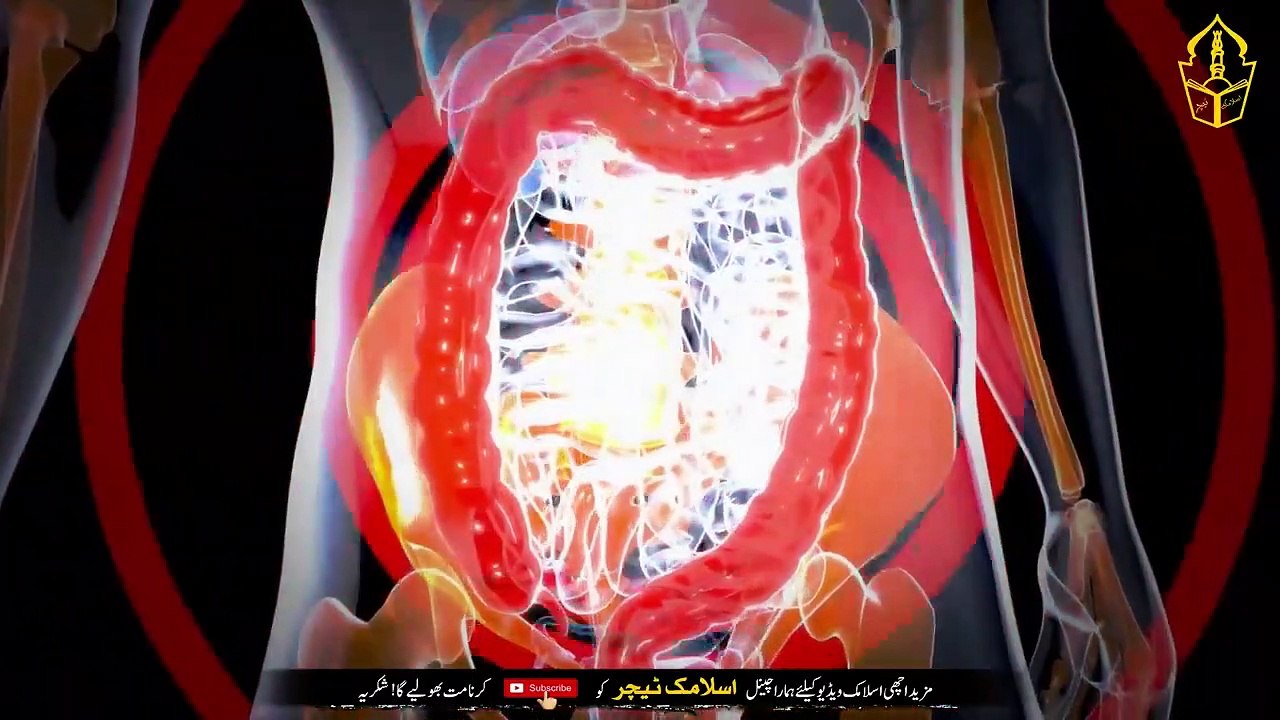 Put your finger on the navel and read this Ayat - Not every disease in the world will harm you - IT