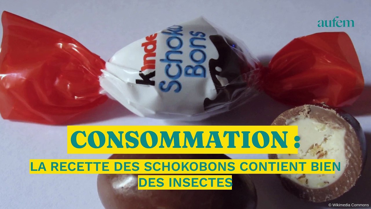 Consommation : la recette des Schokobons contient bien des insectes ...