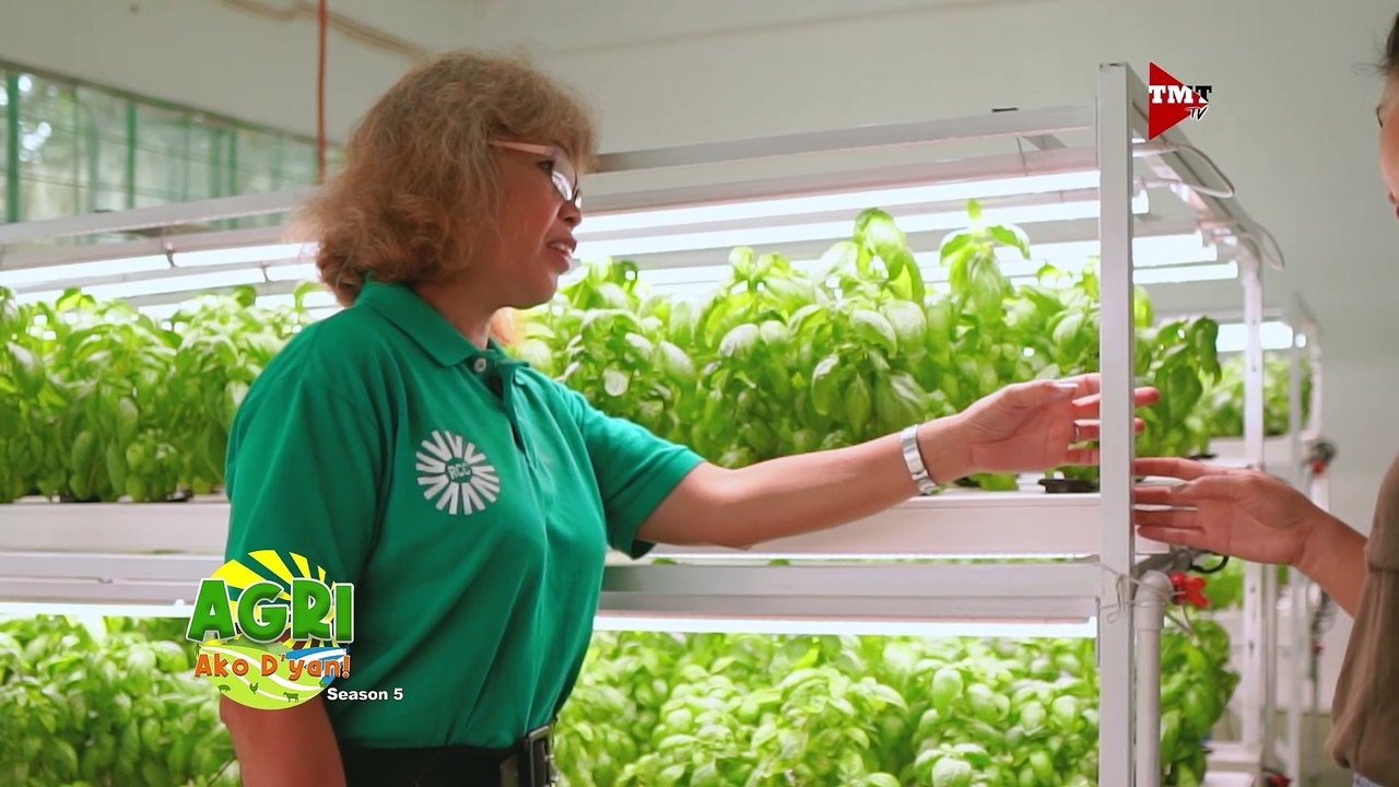 Oh My Gulay! Hydroponics para sa mga PWDs?!