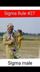 Sigma_rules%2327___Round_2_Hell__Sigma_Male_%23shorts_%23sigmarule_%23trending_%23viralshorts_%23shot(360p)