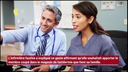 Une infirmière ampute le pied d’un patient sans son consentement pour l’exposer dans un magasin de taxidermie !