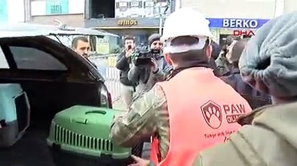 Galeria Sitesi'nde kedi kurtarma operasyonu