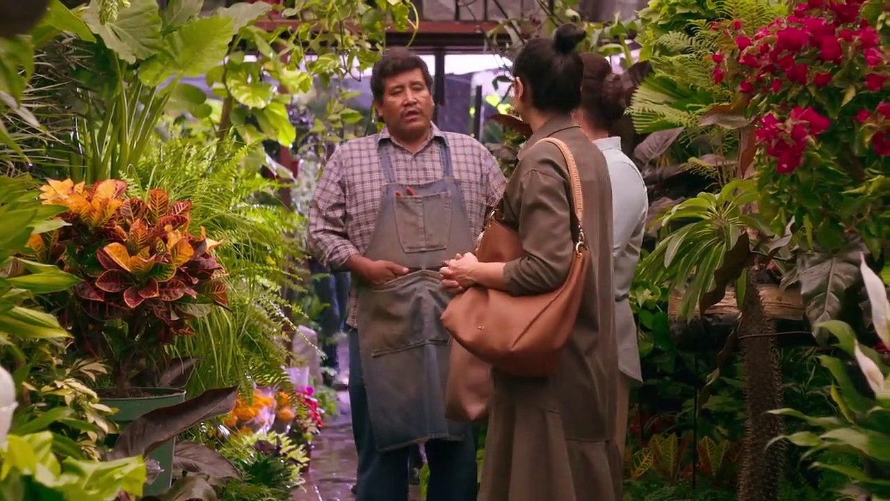 The House of Flowers - Se1 - Ep05 HD Watch