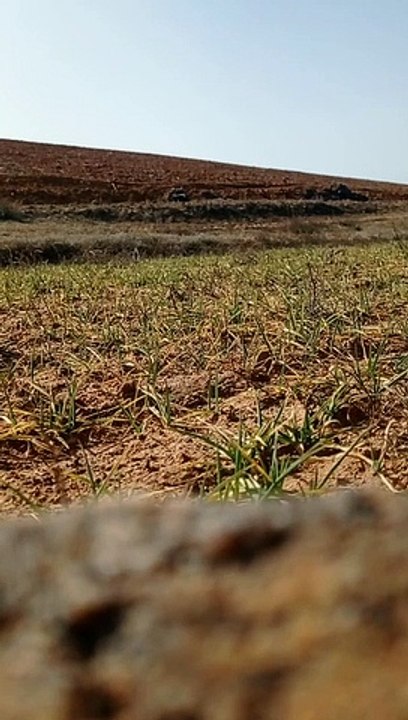 Detonación granadas Guerra Civil en Ólvega