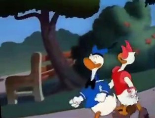Donald Duck Donald Duck E107 Donald’s Dilemma