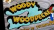 Woody Woodpecker Woody Woodpecker E132 – Calling Dr. Woodpecker
