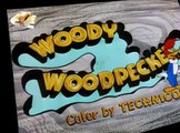 Woody Woodpecker Woody Woodpecker E132 – Calling Dr. Woodpecker