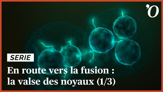 En route vers la fusion nucléaire (1/3) : la valse des noyaux