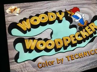 Woody Woodpecker Woody Woodpecker E133 – Dumb Like a Fox