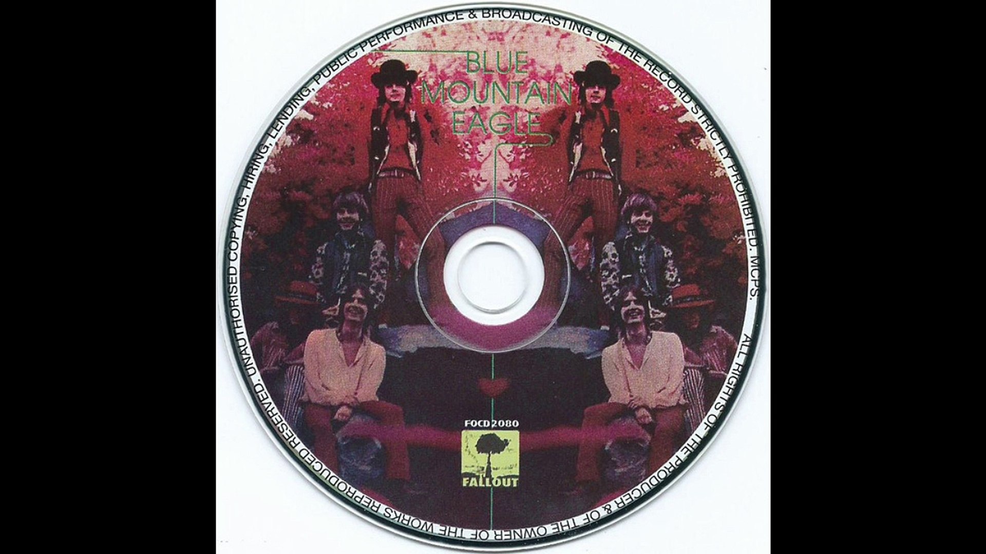 【BLUE MOUNTAIN EAGLE】'70年USオリジナル盤　試聴済み 限定販売の人気ブランド 【BLUE MOUNTAIN EAGLE】70年US