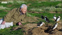 David Attenborough gives a first look at UK nature documentary Wild Isles