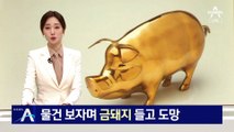 물건 보자며 금돼지 들고 도망…공무원에게 붙잡혀