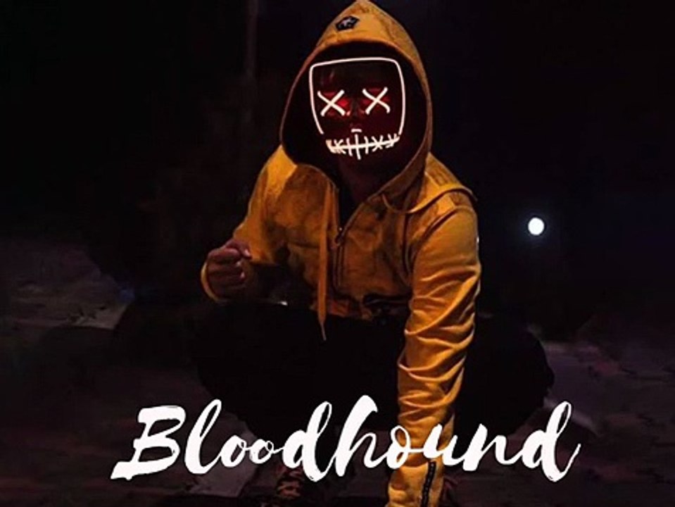 Bloodhound