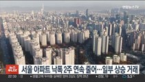 서울 아파트 낙폭 2주 연속 줄어…일부 상승 거래