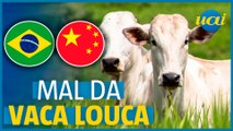 Vaca Louca: Brasil suspende exportações de carne à China