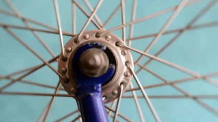 Pexels Videos 1793482