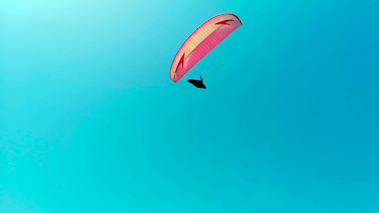 Pexels Videos 2313698
