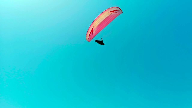 Pexels Videos 2313698