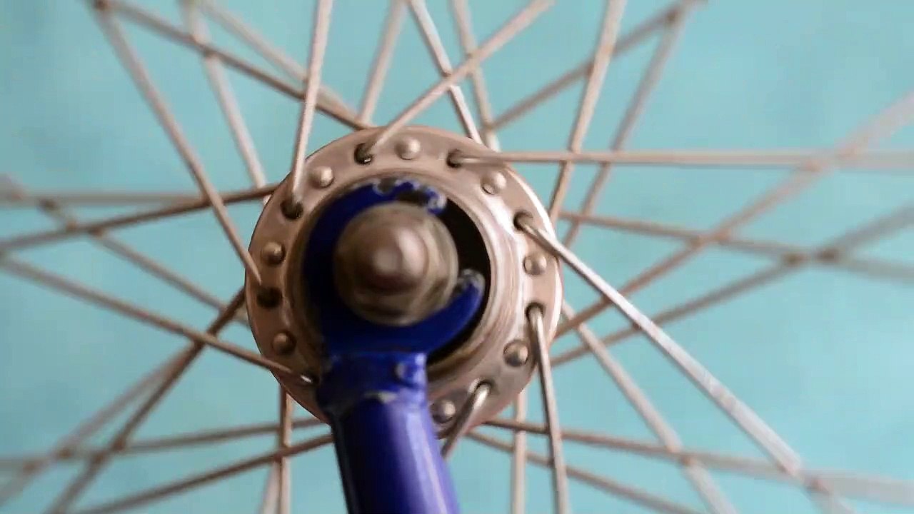 Pexels Videos 1793482