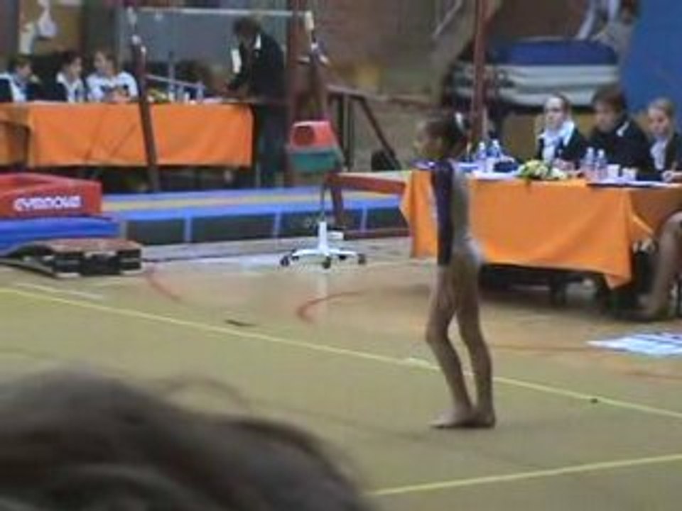 gaf hainaut2008 sol