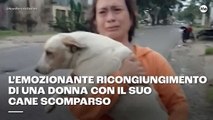 L'emozionante ricongiungimento di una donna con il suo cane scomparso