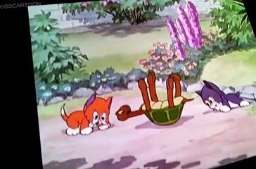 Silly Symphony E065 - More Kittens