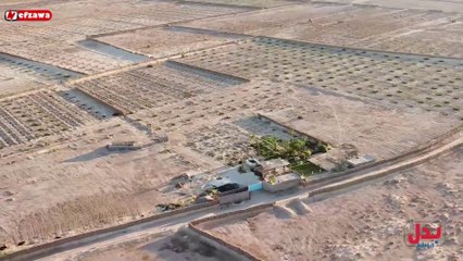 هاذي أهمية تبني الاقتصاد الأخضر في مجال البيئة