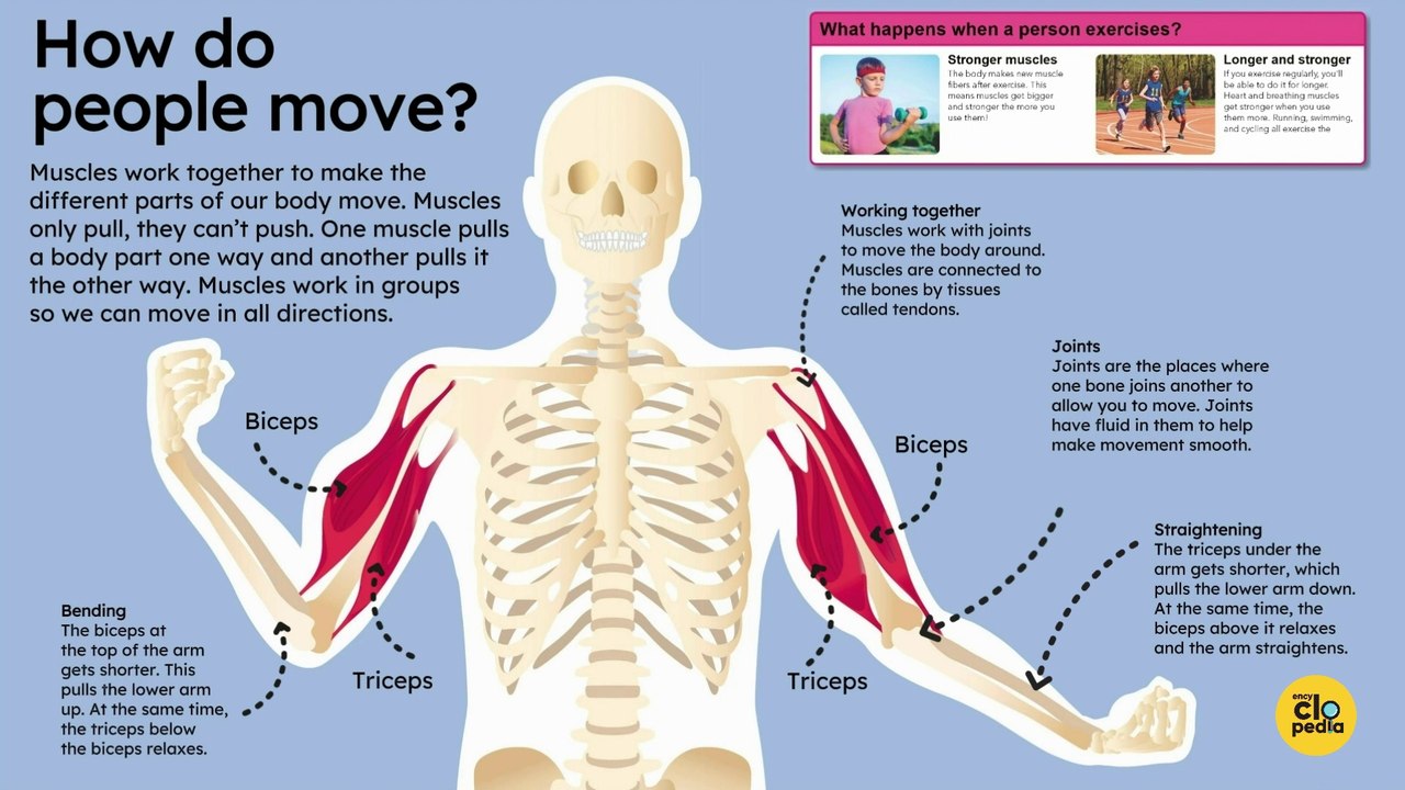 How do people move?