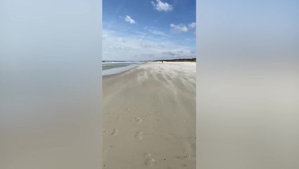 Wind whips up ‘sand blizzard’ on South Carolina shoreline