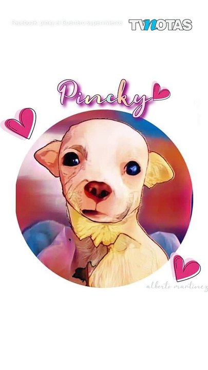 ¡Vuela alto Pinky!