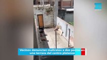Vecinos denuncian maltratos a dos perros en una terraza del centro platense