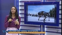 Cão-robô vira 'animal de estimação' no ES