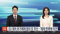 EU 대러 추가제재 합의 또 무산…'제재 면제'에 이견