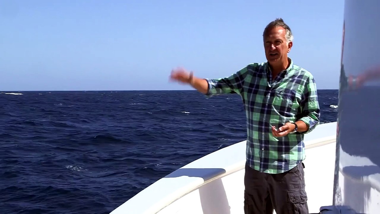 Blue Whale's Perfect Comic Timing! - Big Blue Live - #EarthOnLocation - Earth Unplugged