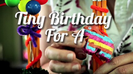 Tiny Birthday For A Tiny Hedgehog (Ep. 2)