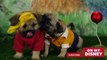 Adorable Disney Puppies in Slow Motion _ Oh My Disney (29jG8tyXO-o)