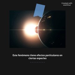 Temerosos y desorientados, el cambio en el comportamiento animal durante los eclipses