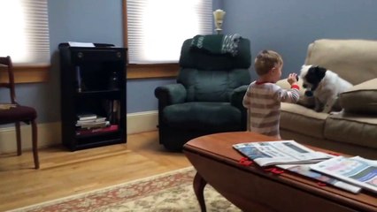 Dog Won't Fetch but His Boy Still Loves Him