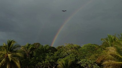 Deep Sleep Relaxing Music "Tropical Storm" (Black Screen) Meditation