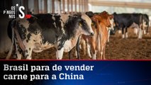 Caso de vaca louca já causa prejuízos bilionários ao Brasil