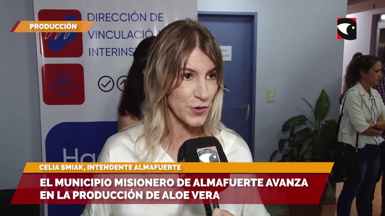 El municipio misionero de Almafuerte avanza en la producción de aloe vera
