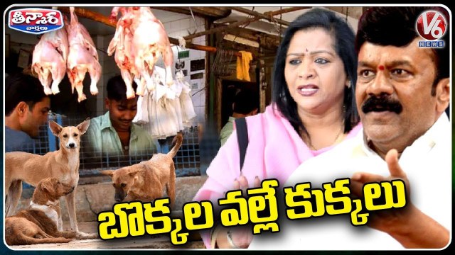 Talasani Srinivas Yadav And BRS Leaders Says Reasons For Dogs Attack On Public _ V6 Teenmaar