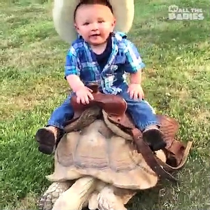 animals,wild animals,animal sounds,animal video,farm animals,animal attack