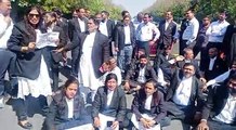 जयपुर सहित कई शहरों में वकीलों में आक्रोश